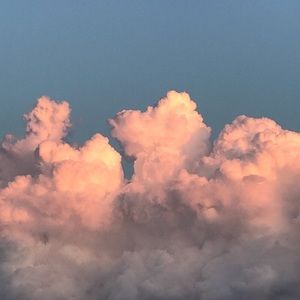 Meet your Posher, Waverly